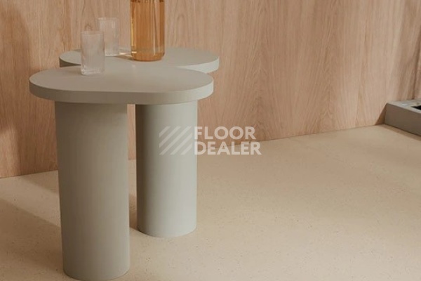 Линолеум Marmoleum Solid Cocoa 3590 meringue фото 1 | FLOORDEALER